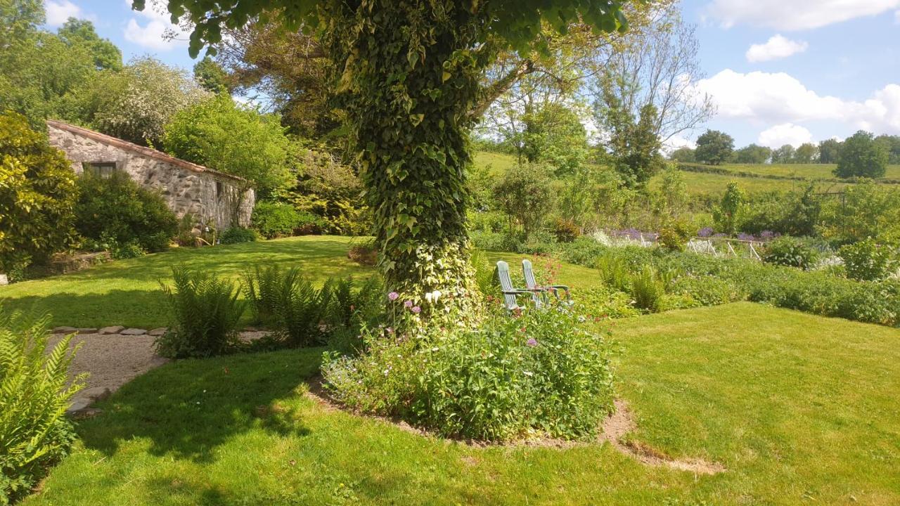 La Maison Pres Du Ruisseau Chambre Jaune Fenioux  Exterior photo